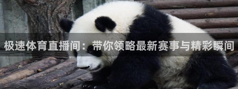 极速体育直播间：带你领略最新赛事与精彩瞬间