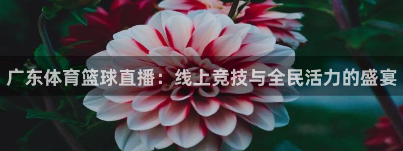 广东体育篮球直播：线上竞技与全民活力的盛宴